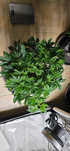 Growreport Bild 8