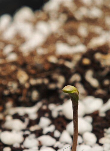 Screenshot_20260109_043837_Chrome