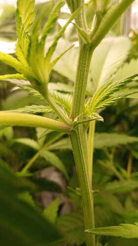 Growreport Bild 9