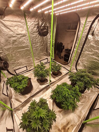 Growreport Bild 3