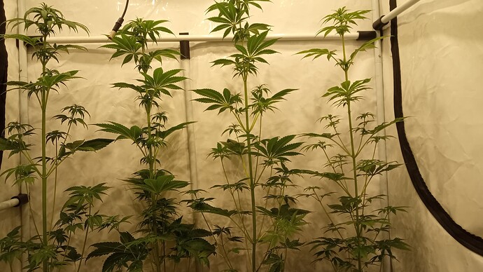 Growreport Bild 1