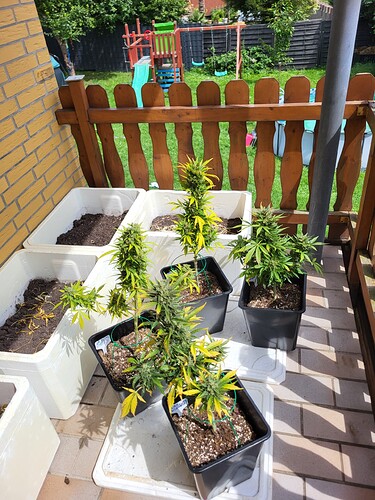 Growreport Bild 1