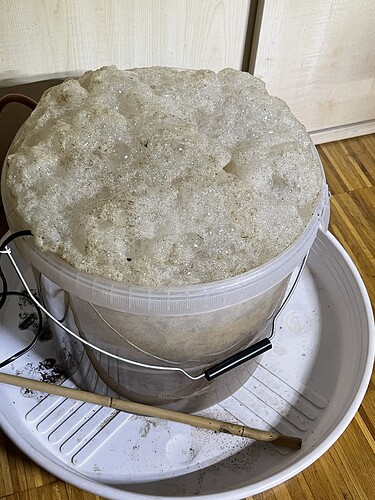 Growreport Bild 6