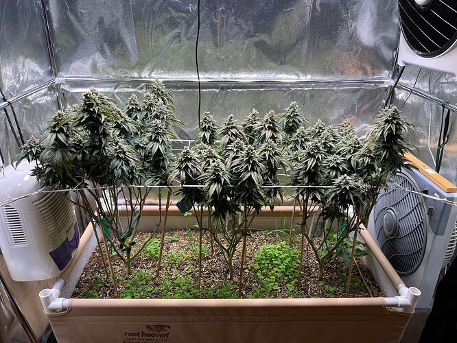 Growreport Bild 9