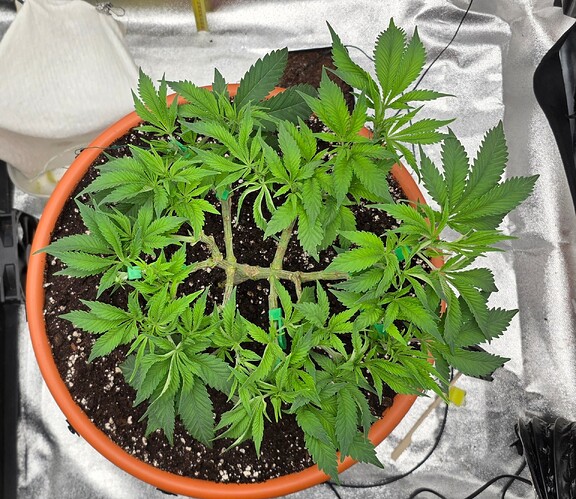 Growreport Bild 16