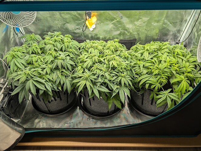 Growreport Bild 6