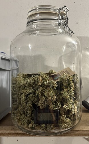 Growreport Bild 25