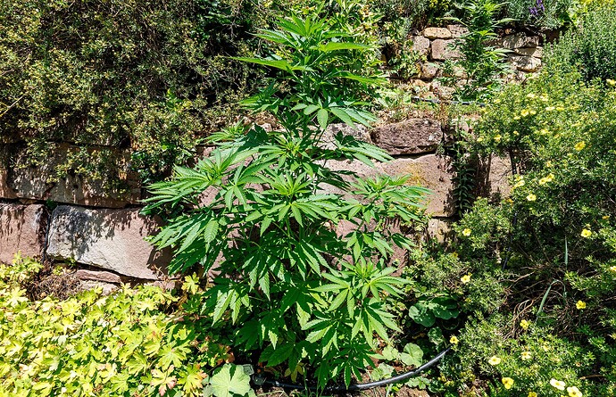 Day 55-Outdoor