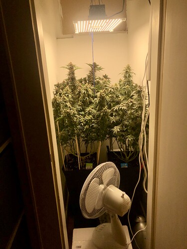 Growreport Bild 1