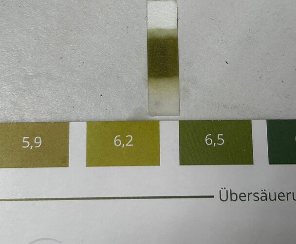 Growreport Bild 71