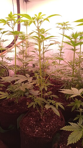 Growreport Bild 16