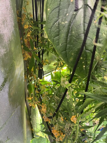 Growreport Bild 18
