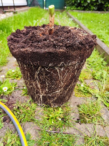 Growreport Bild 26