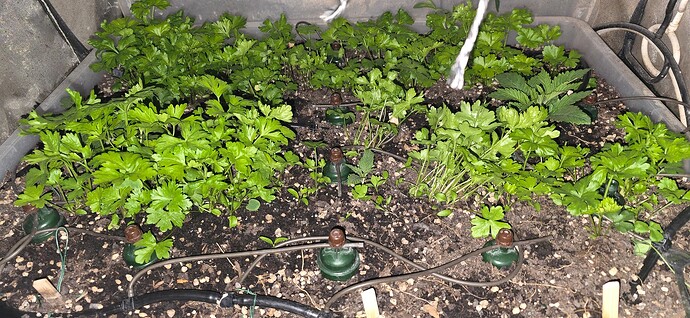 Growreport Bild 10