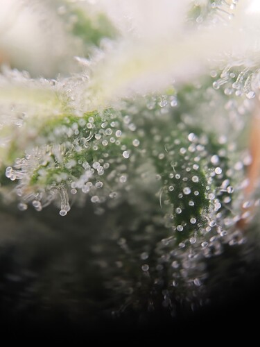 MVIMG_20251112_213129