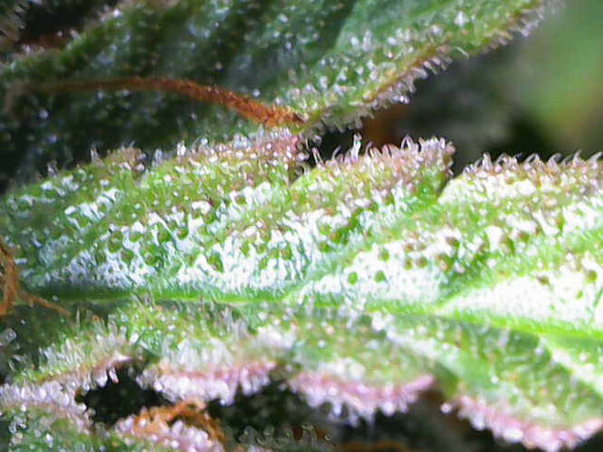 Photo_2026-03-04 16_30_20_495