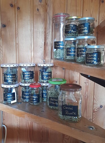 Growreport Bild 5