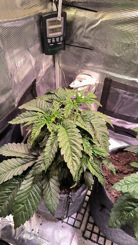 Growreport Bild 3