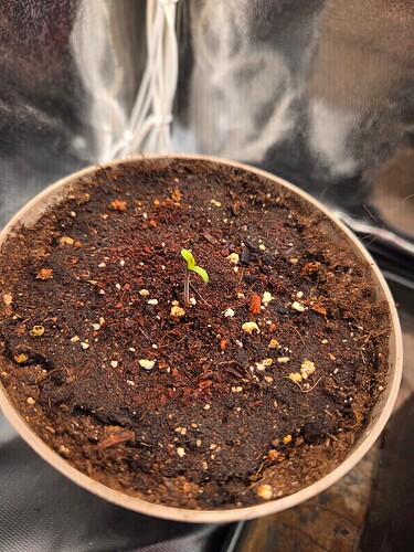Growreport Bild 3