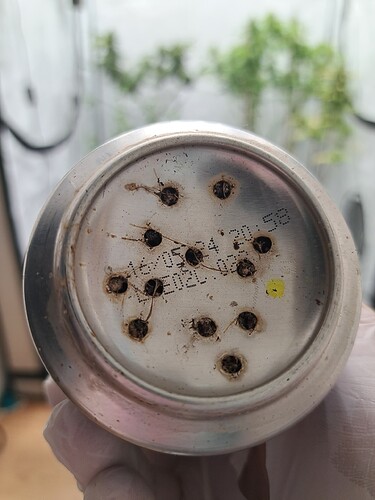 Growreport Bild 30