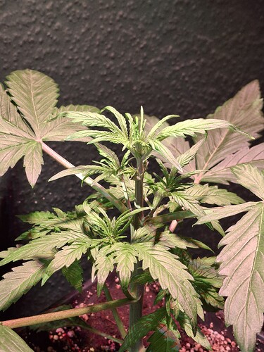 Growreport Bild 17