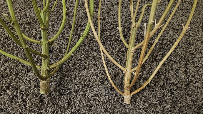 Growreport Bild 6