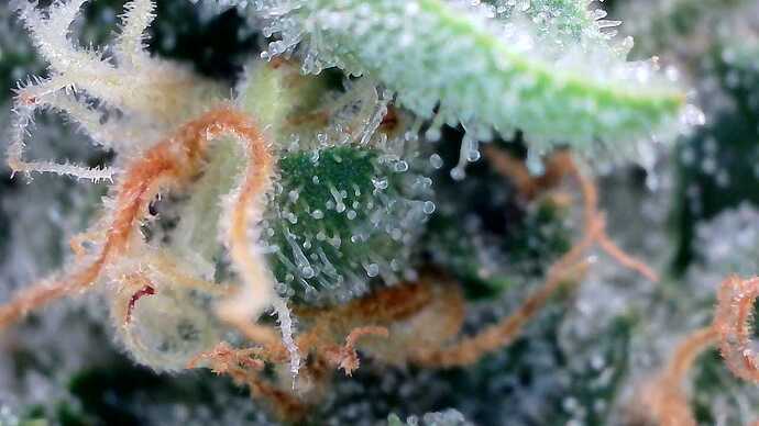 Growreport Bild 24
