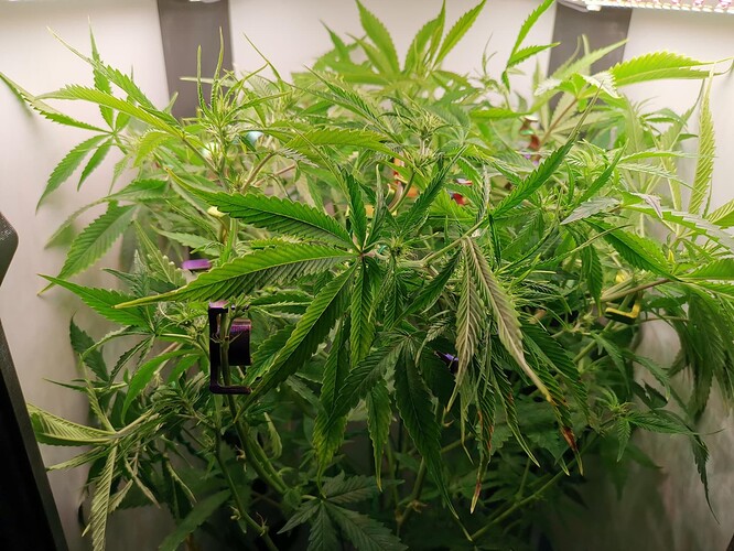Growreport Bild 19