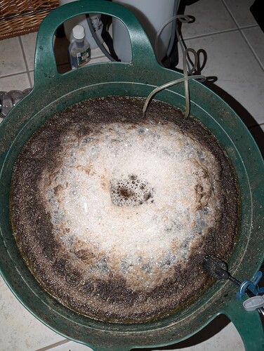 Growreport Bild 12