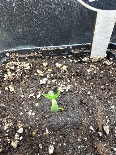 Growreport Bild 6