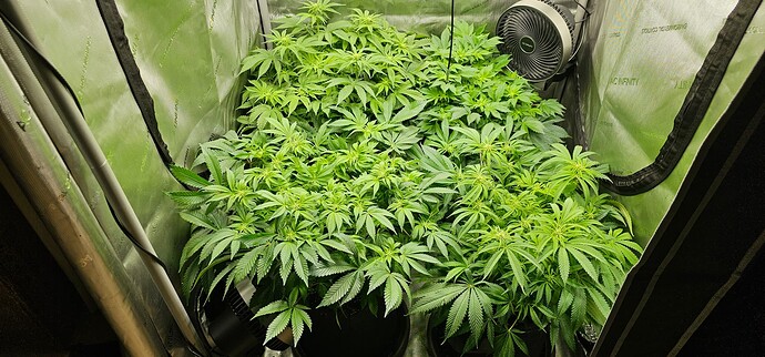 Growreport Bild 23