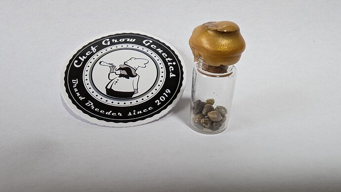 PXL_20240713_113553468