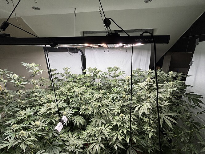 Growreport Bild 4