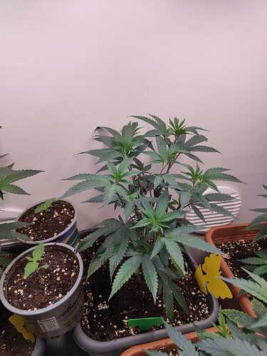 WhatsApp Image 2024-05-25 at 20.09.13 (1)