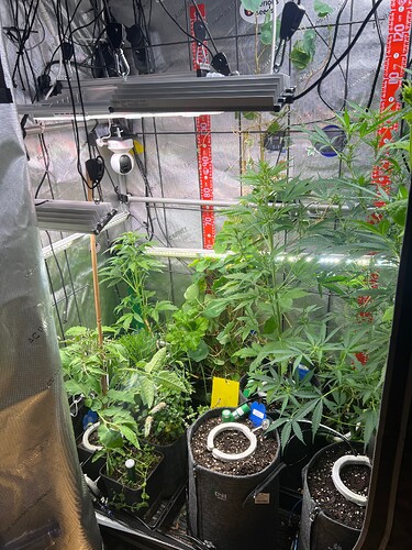 Growreport Bild 28
