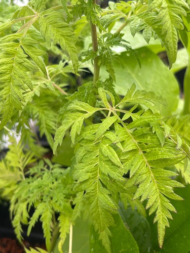 Growreport Bild 11