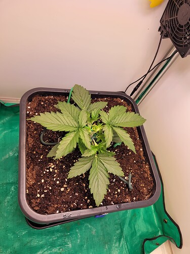 Growreport Bild 10