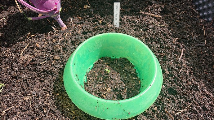 Growreport Bild 24