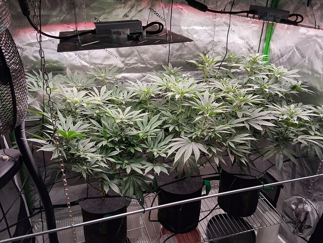 Growreport Bild 16