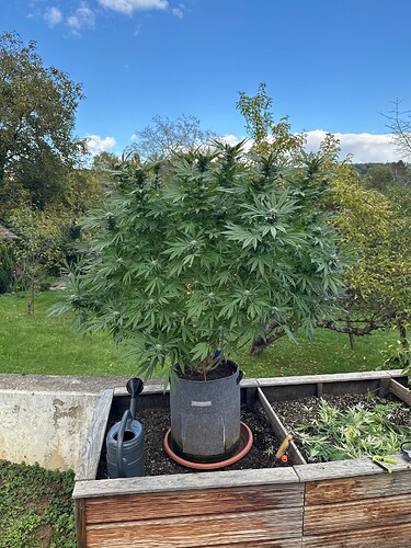 Growreport Bild 26