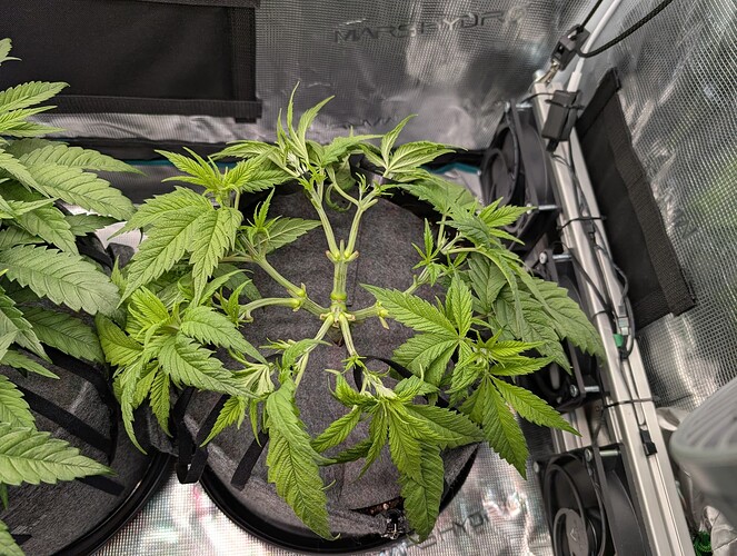Growreport Bild 14