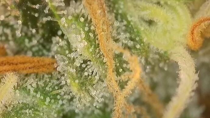 2024-09-29-182809667