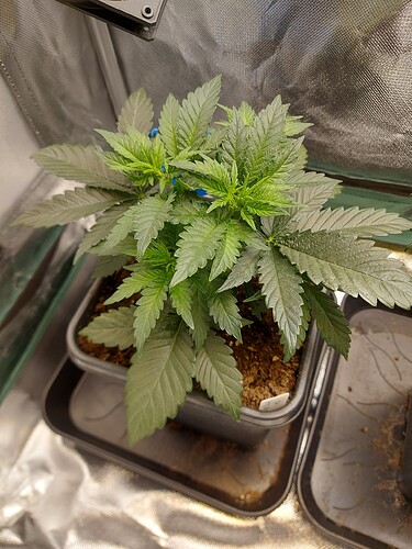 Growreport Bild 10