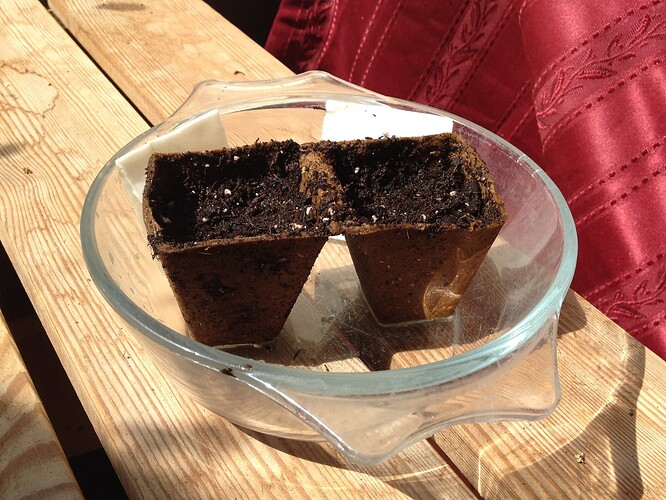 Grow25_0704_SRseed_1u2