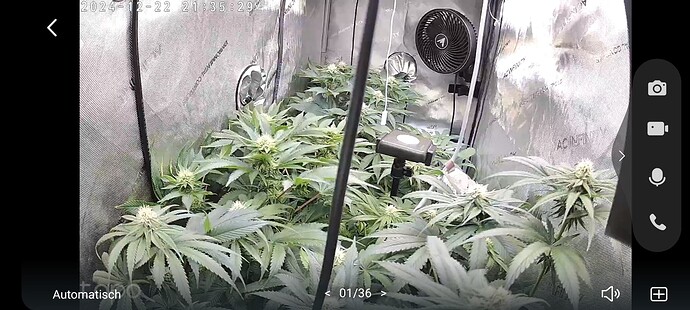 Growreport Bild 16