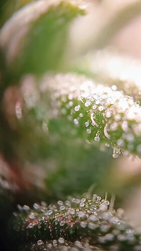 20250126_115619_exported_133~2