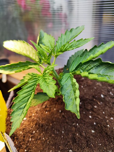 Growreport Bild 5