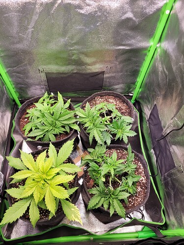 Growreport Bild 16