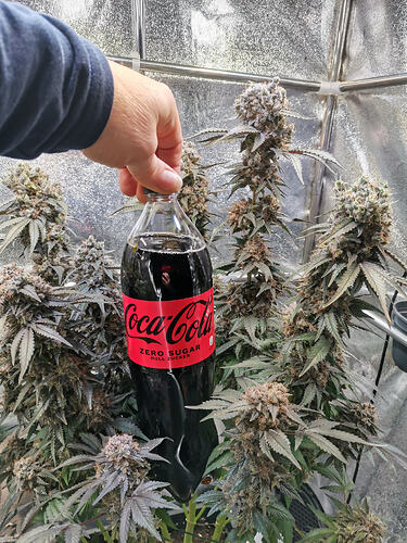 Growreport Bild 24