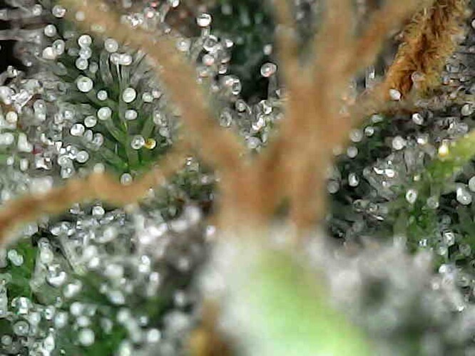 Photo_2025-04-13 16_47_43_377